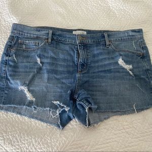 LOFT Distressed Jean Shorts